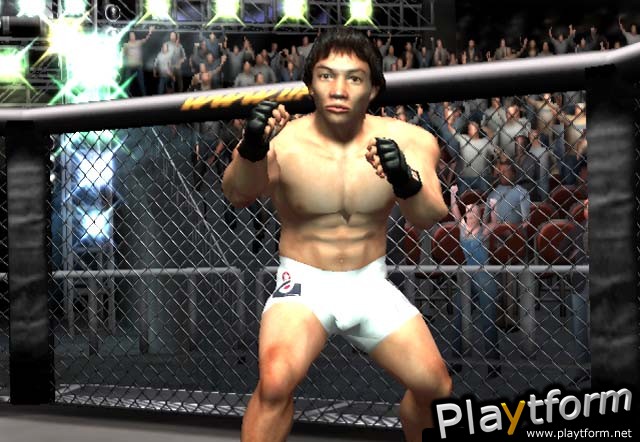 Ultimate Fighting Championship: Throwdown (PlayStation 2)