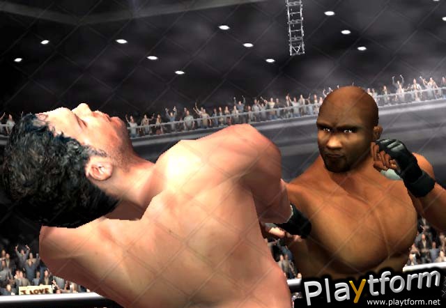 Ultimate Fighting Championship: Throwdown (PlayStation 2)