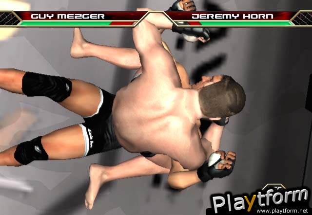 Ultimate Fighting Championship: Throwdown (PlayStation 2)