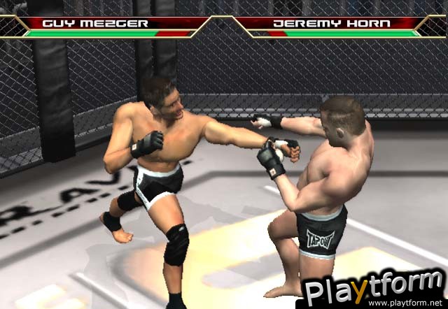 Ultimate Fighting Championship: Throwdown (PlayStation 2)