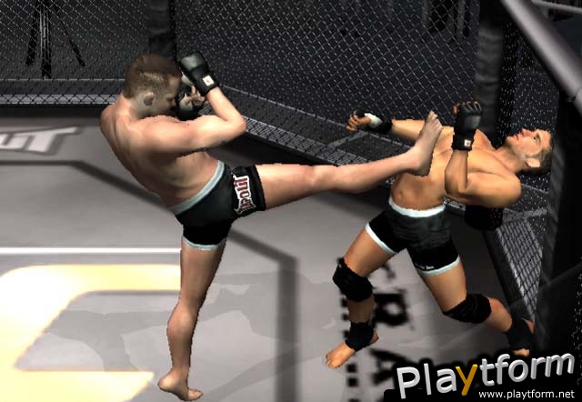 Ultimate Fighting Championship: Throwdown (PlayStation 2)