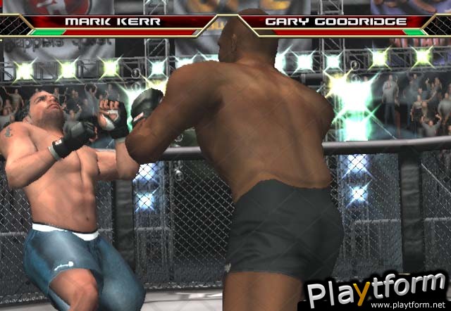 Ultimate Fighting Championship: Throwdown (PlayStation 2)