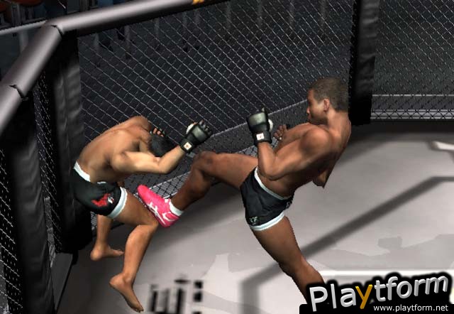 Ultimate Fighting Championship: Throwdown (PlayStation 2)