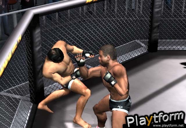 Ultimate Fighting Championship: Throwdown (PlayStation 2)