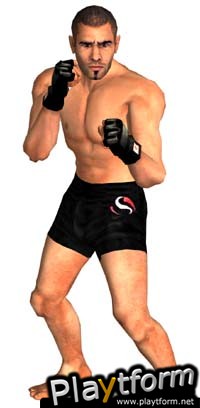 Ultimate Fighting Championship: Throwdown (PlayStation 2)