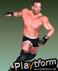 Ultimate Fighting Championship: Throwdown (PlayStation 2)