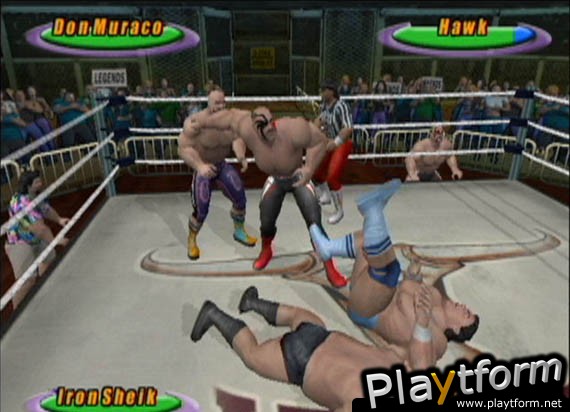 Legends of Wrestling (GameCube)