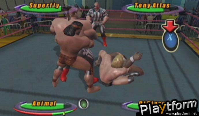 Legends of Wrestling (Xbox)