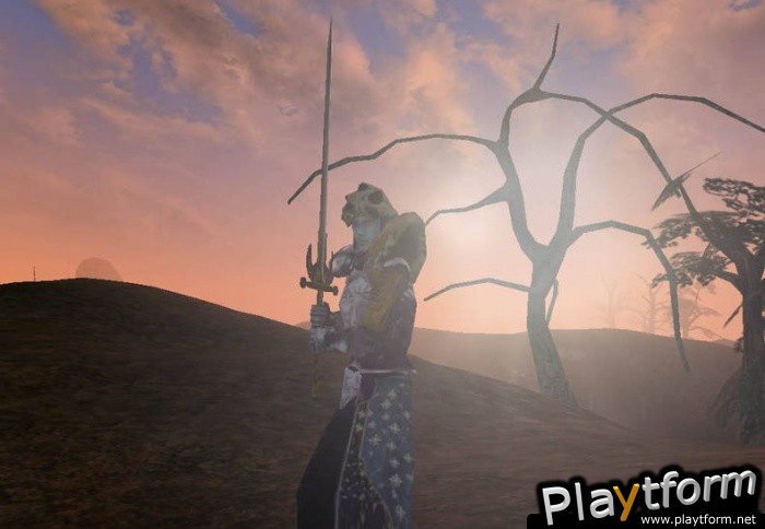 The Elder Scrolls III: Morrowind (PC)