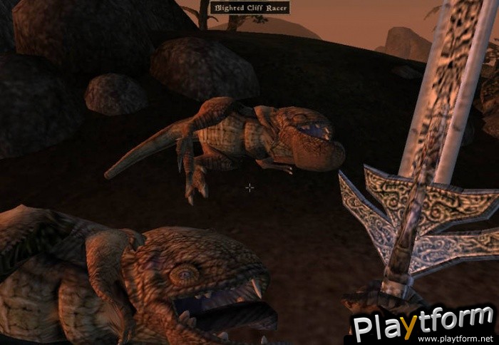 The Elder Scrolls III: Morrowind (PC)