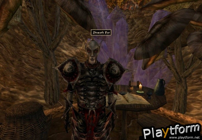 The Elder Scrolls III: Morrowind (PC)