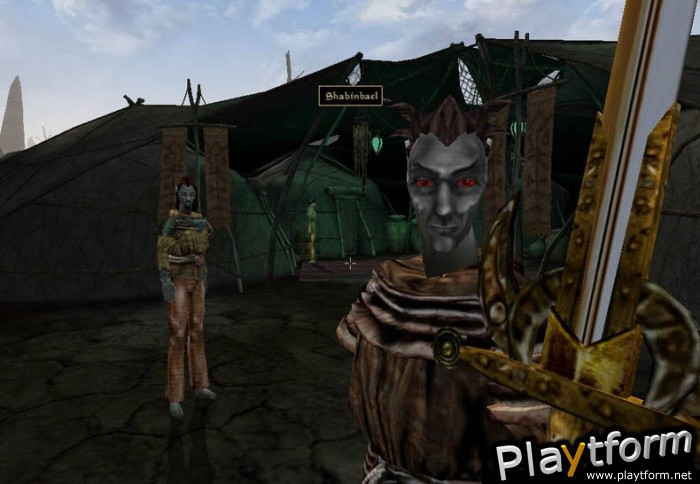 The Elder Scrolls III: Morrowind (PC)