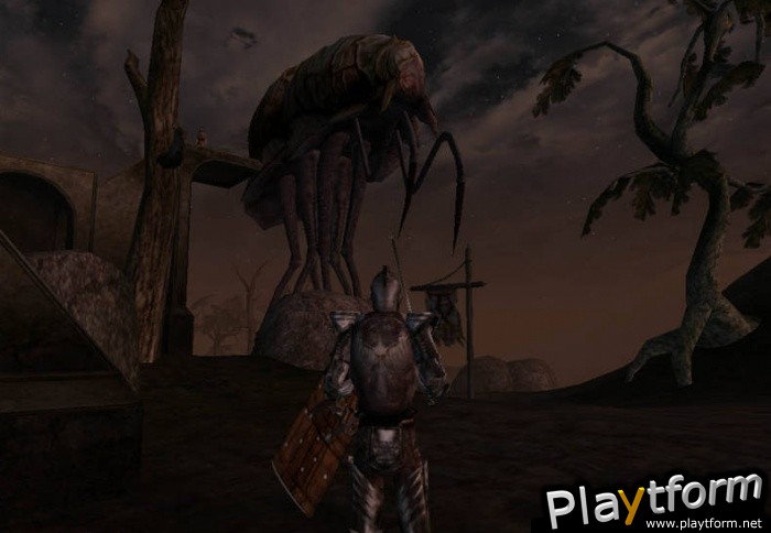 The Elder Scrolls III: Morrowind (PC)