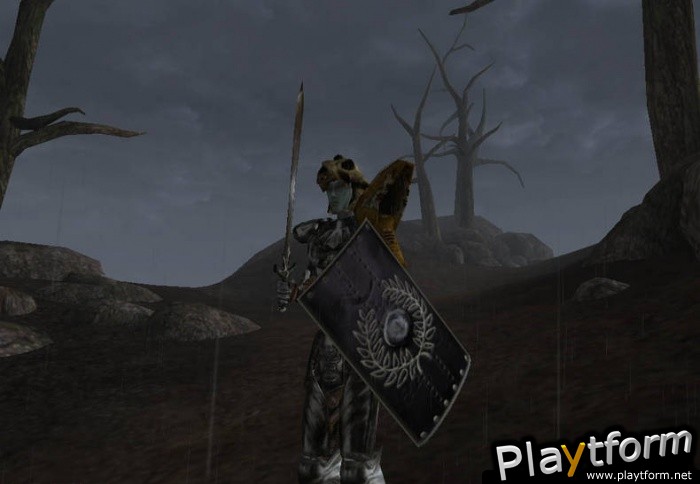 The Elder Scrolls III: Morrowind (PC)