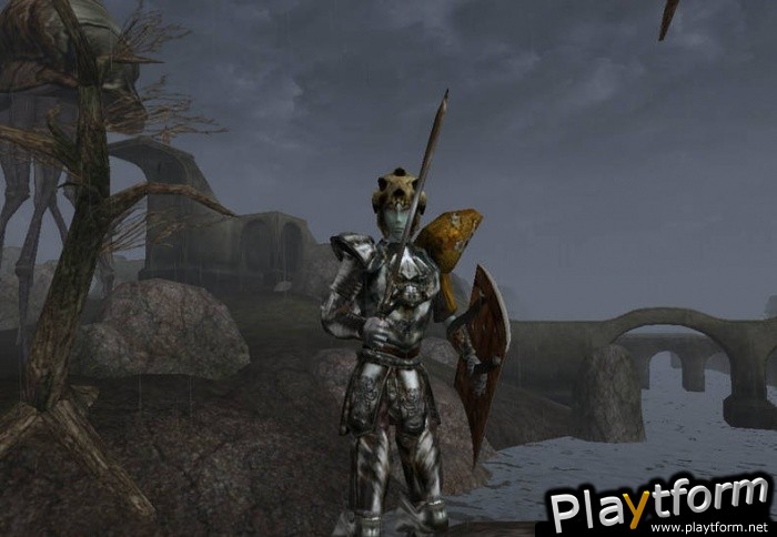 The Elder Scrolls III: Morrowind (PC)