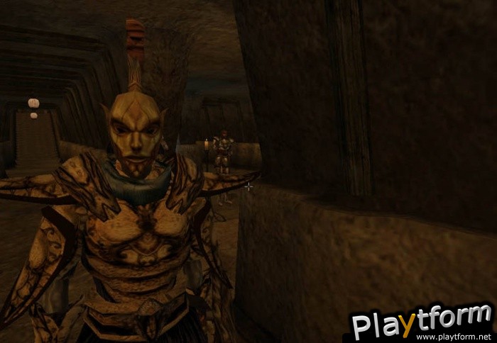 The Elder Scrolls III: Morrowind (PC)