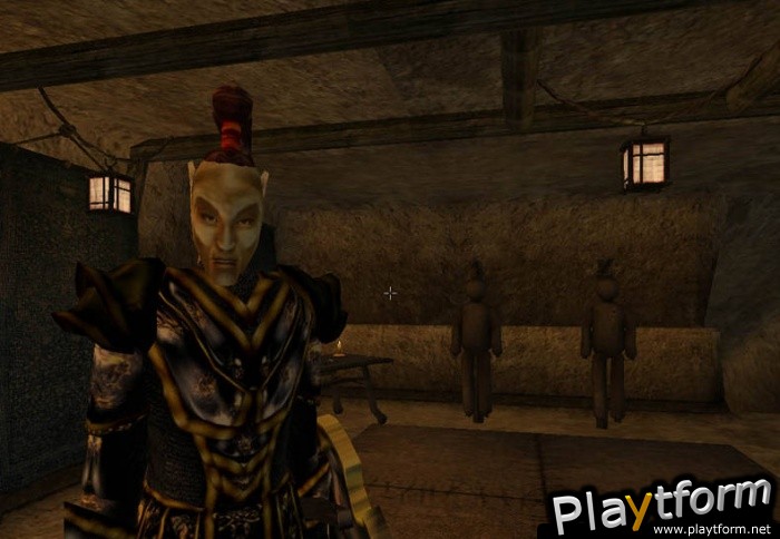 The Elder Scrolls III: Morrowind (PC)