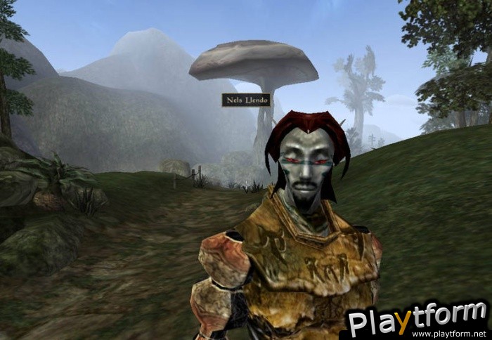 The Elder Scrolls III: Morrowind (PC)