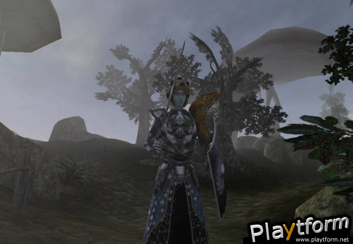 The Elder Scrolls III: Morrowind (PC)