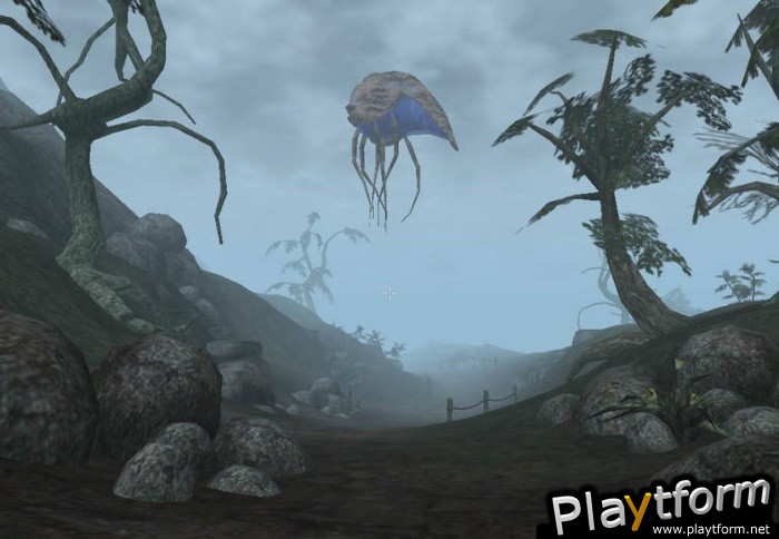 The Elder Scrolls III: Morrowind (PC)