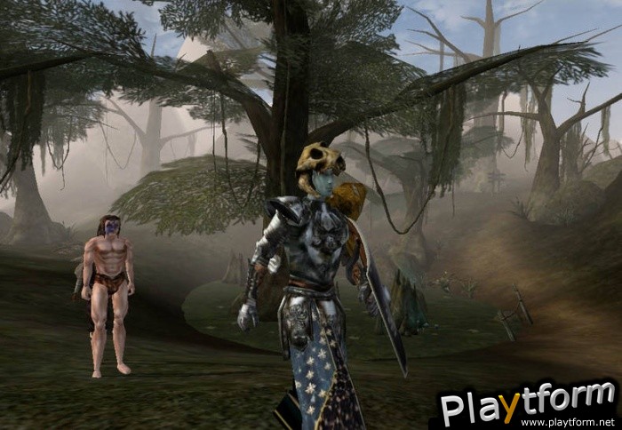 The Elder Scrolls III: Morrowind (PC)