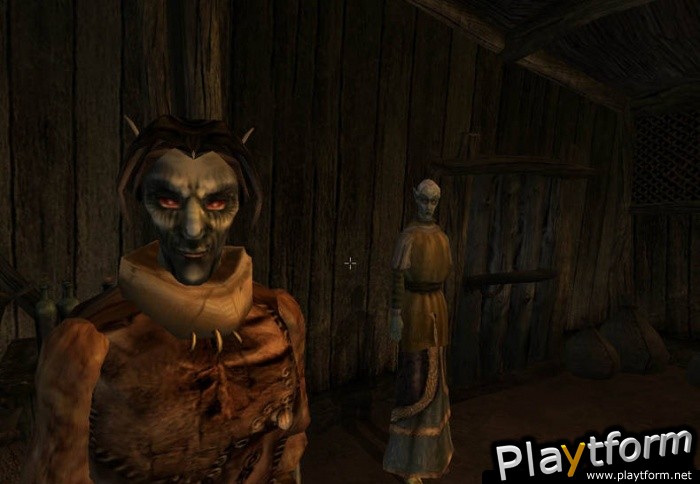 The Elder Scrolls III: Morrowind (PC)