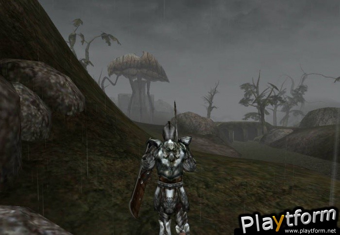 The Elder Scrolls III: Morrowind (PC)