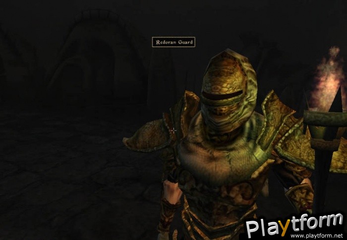 The Elder Scrolls III: Morrowind (PC)