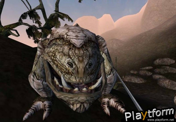 The Elder Scrolls III: Morrowind (PC)