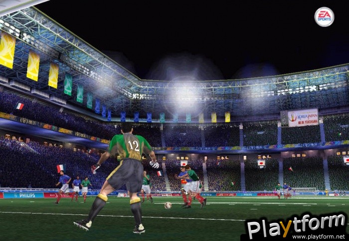 2002 FIFA World Cup (PC)