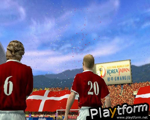 2002 FIFA World Cup (PlayStation 2)