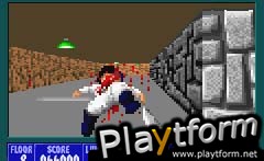 Wolfenstein 3D (Game Boy Advance)