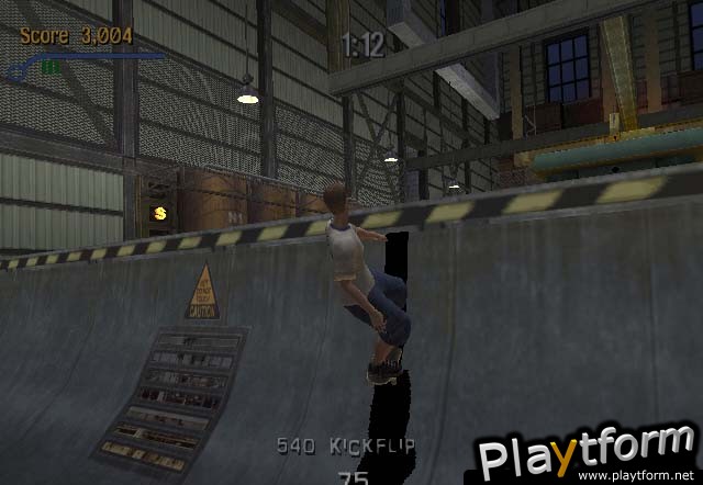 Tony Hawk's Pro Skater 3 (PC)