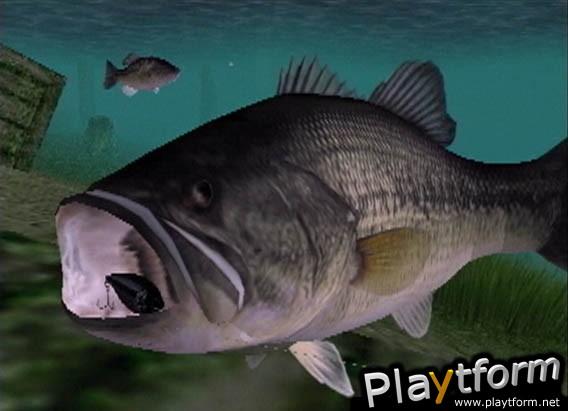 Top Angler (PlayStation 2)