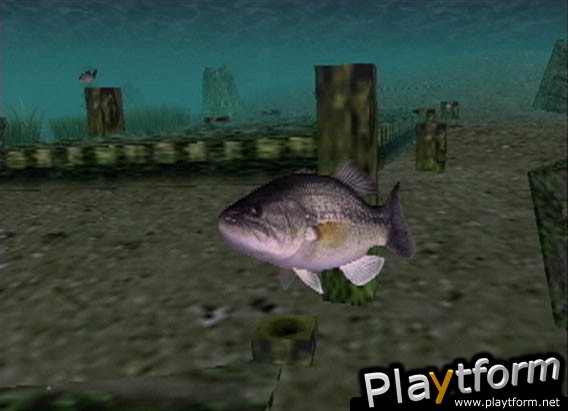 Top Angler (PlayStation 2)