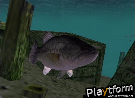 Top Angler (PlayStation 2)