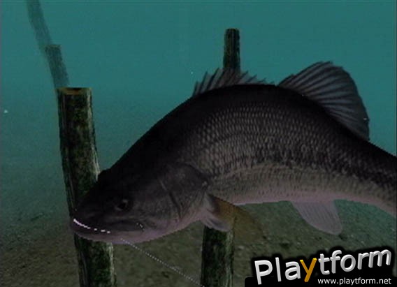 Top Angler (PlayStation 2)