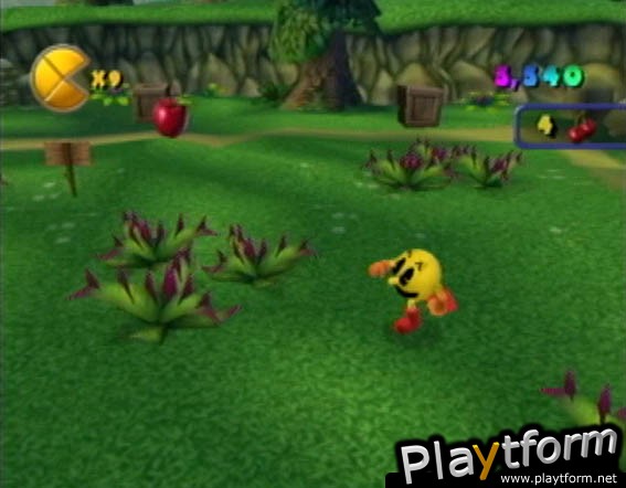 Pac-Man World 2 (GameCube)