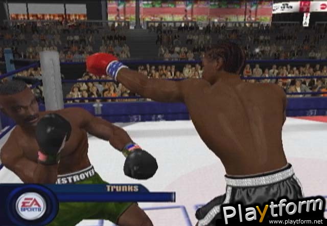 Knockout Kings 2002 (Xbox)