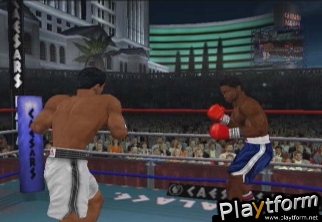 Knockout Kings 2002 (Xbox)