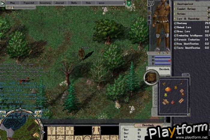 Ultima Online: Lord Blackthorn's Revenge (PC)