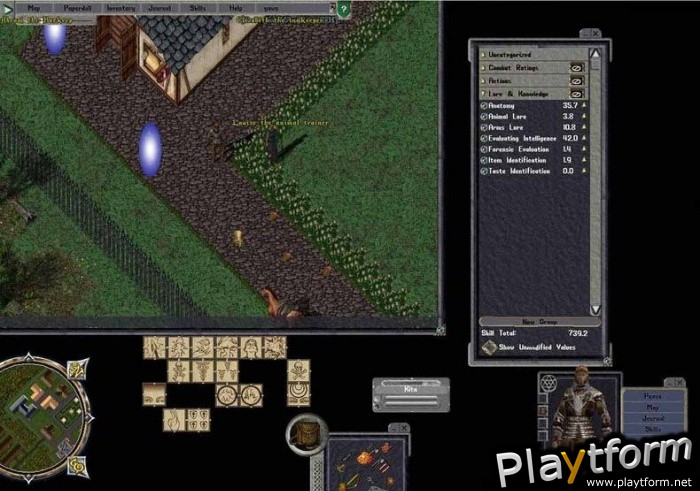 Ultima Online: Lord Blackthorn's Revenge (PC)