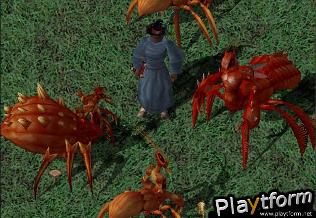 Ultima Online: Lord Blackthorn's Revenge (PC)