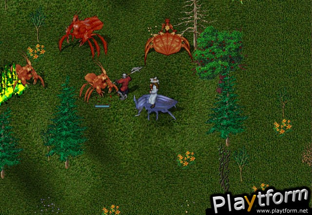 Ultima Online: Lord Blackthorn's Revenge (PC)