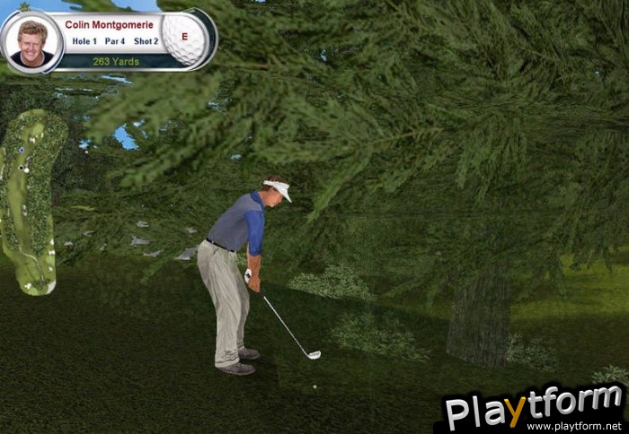 Tiger Woods PGA Tour 2002 (PC)