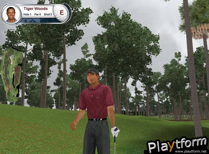 Tiger Woods PGA Tour 2002 (PC)