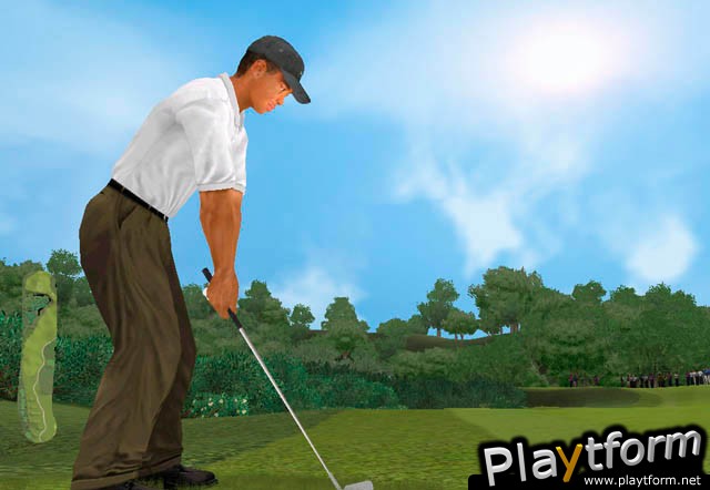 Tiger Woods PGA Tour 2002 (PC)