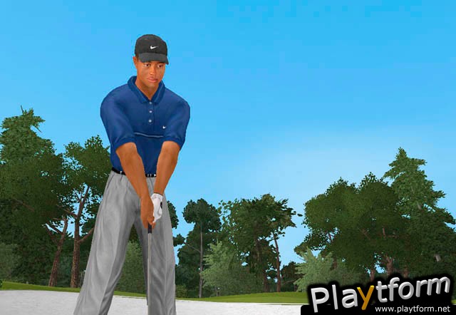 Tiger Woods PGA Tour 2002 (PC)