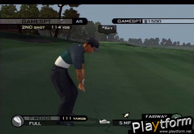 Tiger Woods PGA Tour 2002 (PlayStation 2)