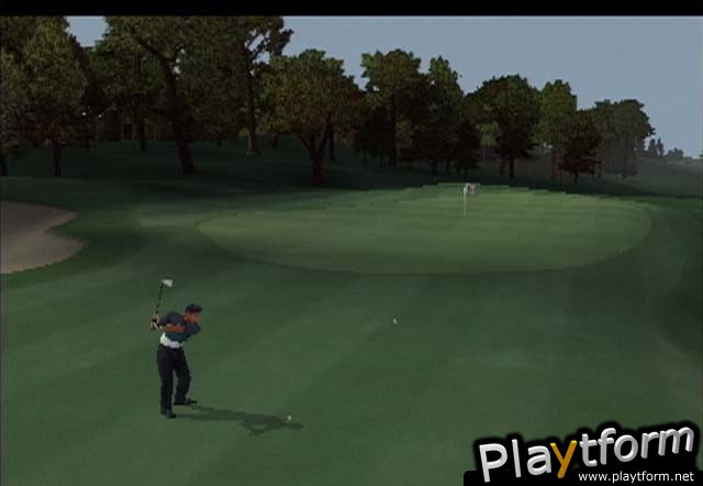 Tiger Woods PGA Tour 2002 (PlayStation 2)